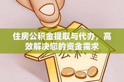 新园住房公积金提取与代办，高效解决您的资金需求