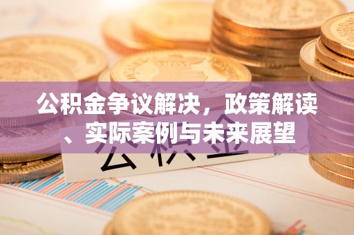 新园公积金争议解决，政策解读、实际案例与未来展望