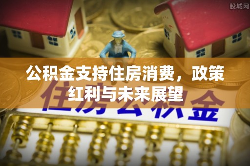 新园公积金支持住房消费，政策红利与未来展望