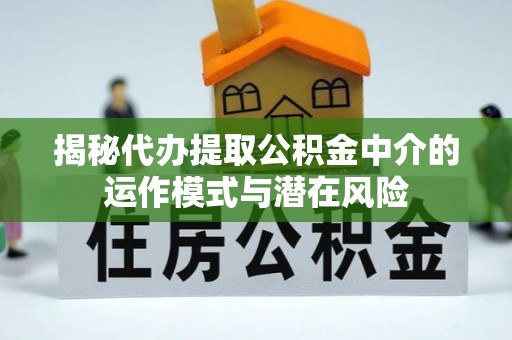 新园揭秘代办提取公积金中介的运作模式与潜在风险