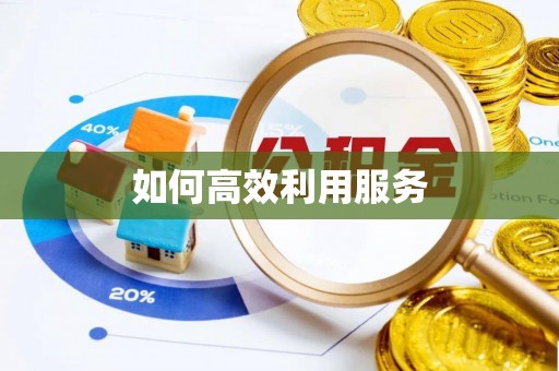 新园如何高效利用服务