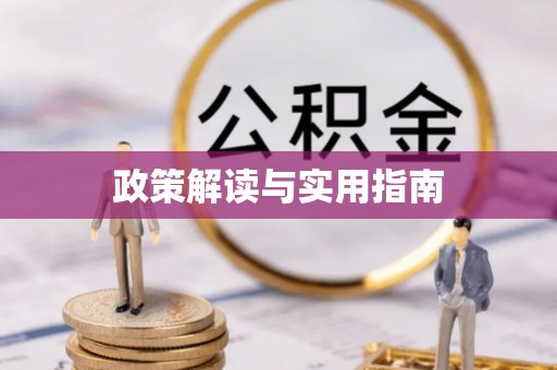 新园政策解读与实用指南