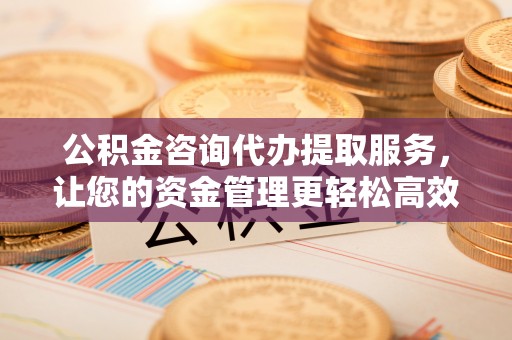 新园公积金咨询代办提取服务，让您的资金管理更轻松高效
