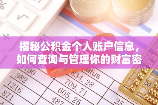 新园揭秘公积金个人账户信息，如何查询与管理你的财富密码