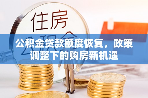 新园公积金贷款额度恢复，政策调整下的购房新机遇