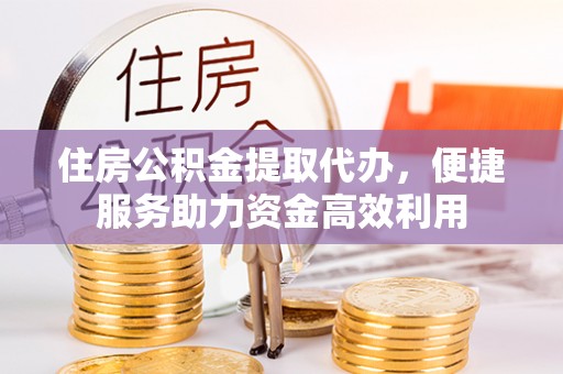 新园住房公积金提取代办，便捷服务助力资金高效利用