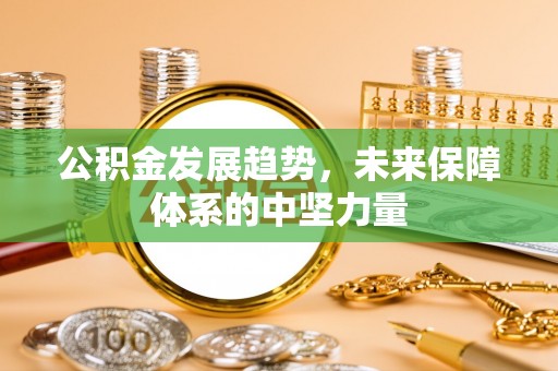 新园公积金发展趋势，未来保障体系的中坚力量
