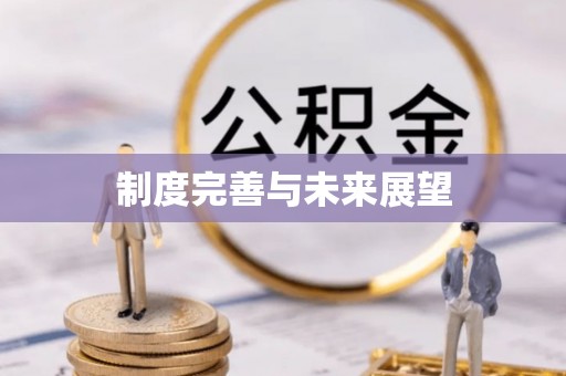 新园制度完善与未来展望