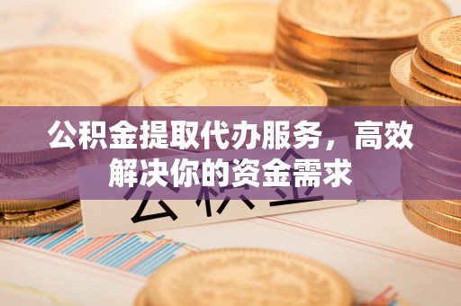 新园公积金提取代办服务，高效解决你的资金需求