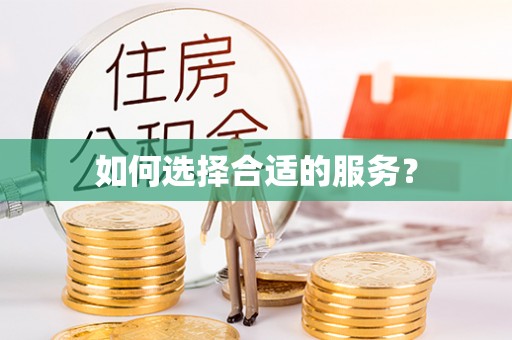 新园如何选择合适的服务？