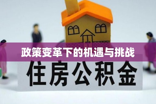 新园政策变革下的机遇与挑战