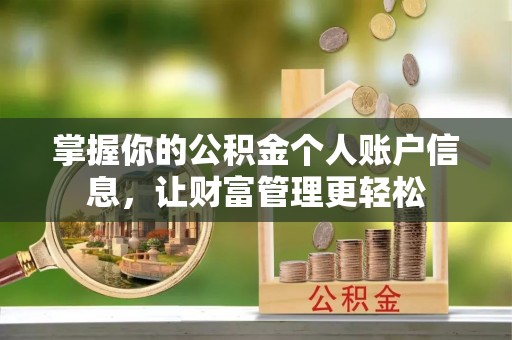 新园掌握你的公积金个人账户信息，让财富管理更轻松