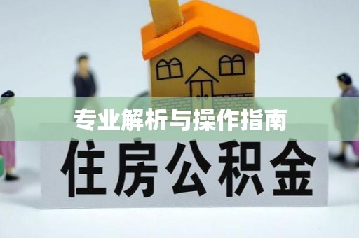 新园专业解析与操作指南