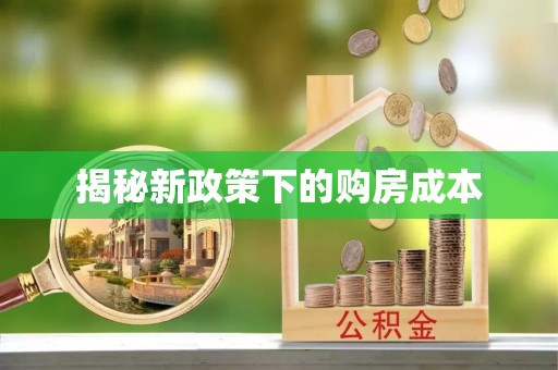 新园揭秘新政策下的购房成本
