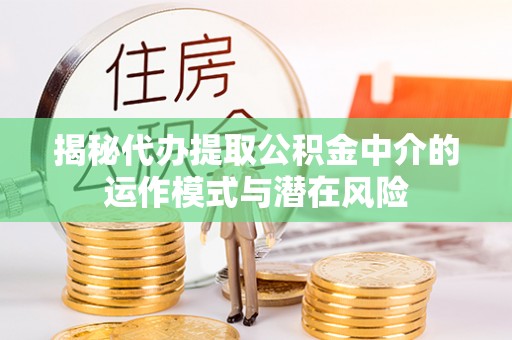 新园揭秘代办提取公积金中介的运作模式与潜在风险