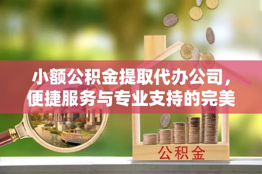 新园小额公积金提取代办公司，便捷服务与专业支持的完美结合
