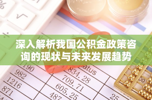 新园深入解析我国公积金政策咨询的现状与未来发展趋势