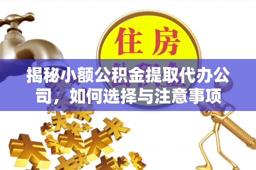 新园揭秘小额公积金提取代办公司，如何选择与注意事项