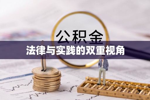 新园法律与实践的双重视角