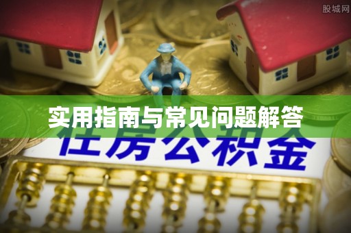 新园实用指南与常见问题解答