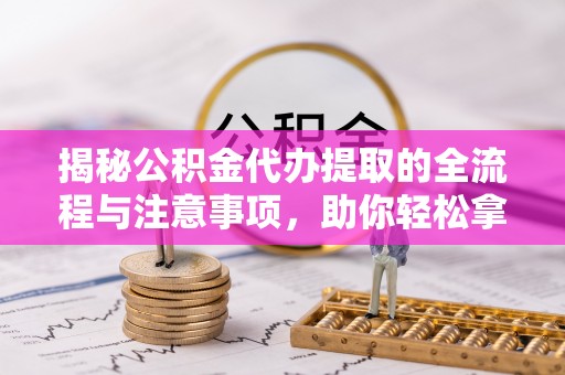 新园揭秘公积金代办提取的全流程与注意事项，助你轻松拿回属于自己的钱