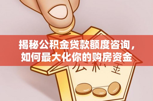 新园揭秘公积金贷款额度咨询，如何最大化你的购房资金