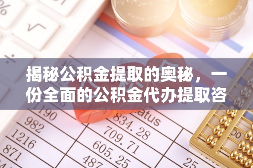 新园揭秘公积金提取的奥秘，一份全面的公积金代办提取咨询指南