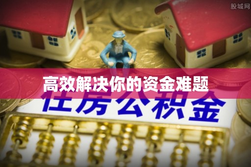 新园高效解决你的资金难题