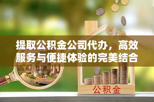 新园提取公积金公司代办，高效服务与便捷体验的完美结合