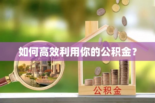 新园如何高效利用你的公积金？