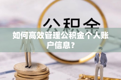 新园如何高效管理公积金个人账户信息？