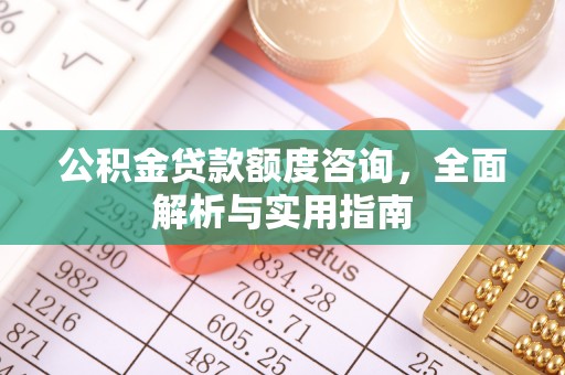 新园公积金贷款额度咨询，全面解析与实用指南
