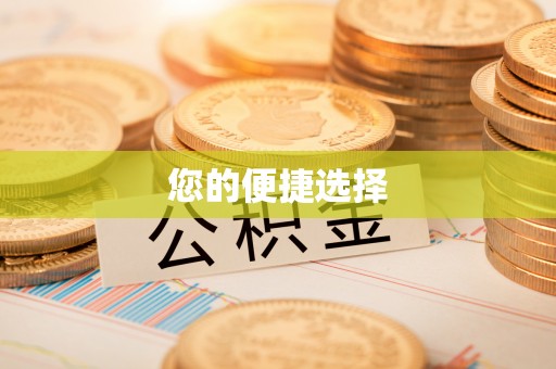 新园您的便捷选择