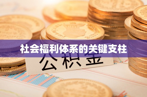 新园社会福利体系的关键支柱