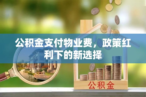新园公积金支付物业费，政策红利下的新选择