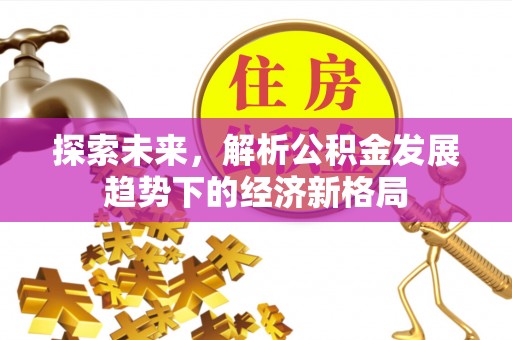 新园探索未来，解析公积金发展趋势下的经济新格局