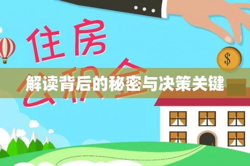 新园解读背后的秘密与决策关键