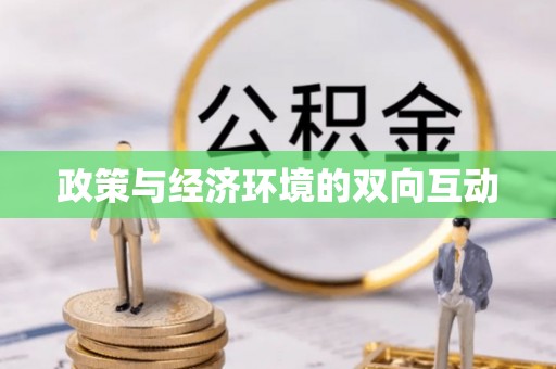 新园政策与经济环境的双向互动