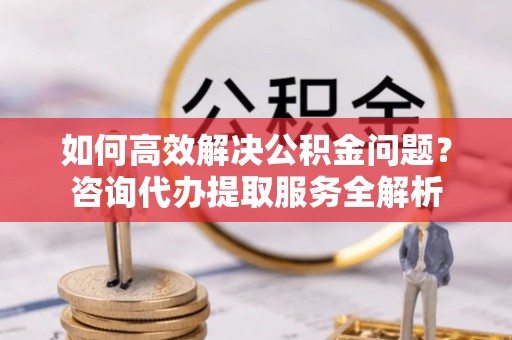 新园如何高效解决公积金问题？咨询代办提取服务全解析