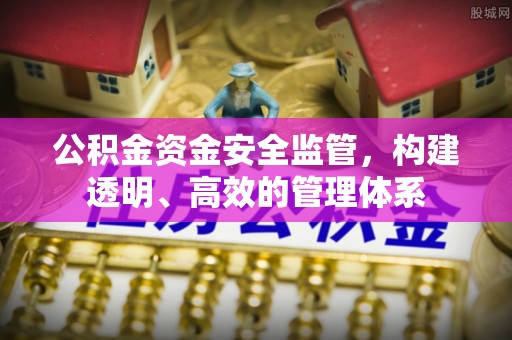 新园公积金资金安全监管，构建透明、高效的管理体系