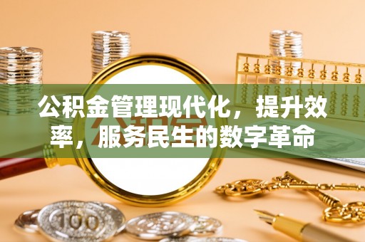 新园公积金管理现代化，提升效率，服务民生的数字革命