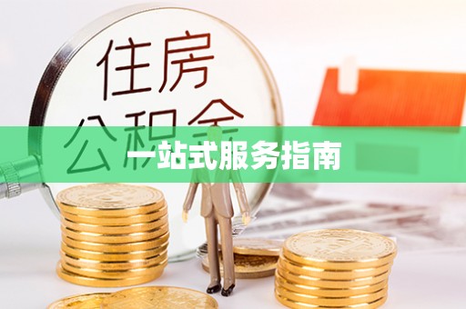 新园一站式服务指南