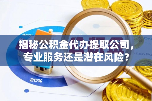 新园揭秘公积金代办提取公司，专业服务还是潜在风险？