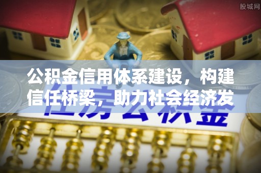新园公积金信用体系建设，构建信任桥梁，助力社会经济发展