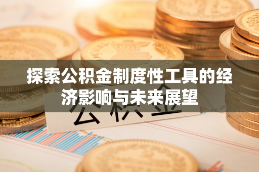 新园探索公积金制度性工具的经济影响与未来展望