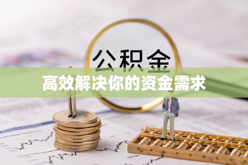 新园高效解决你的资金需求