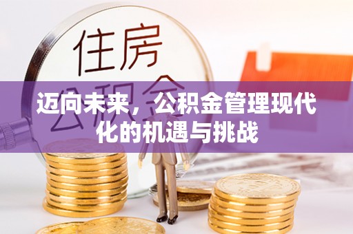 新园迈向未来，公积金管理现代化的机遇与挑战