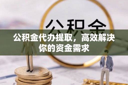 新园公积金代办提取，高效解决你的资金需求
