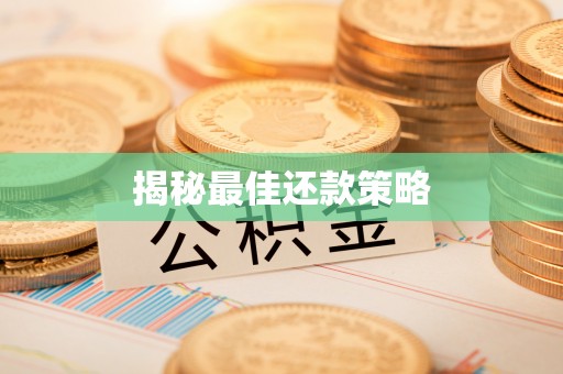 新园揭秘最佳还款策略
