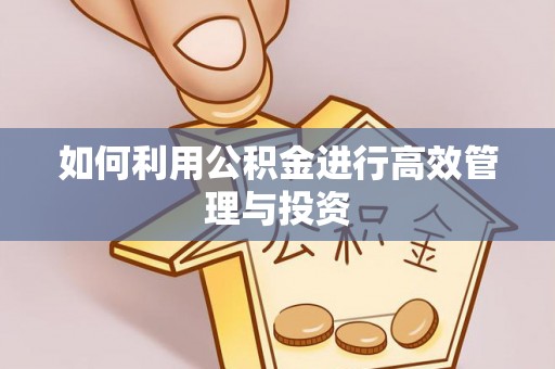 新园如何利用公积金进行高效管理与投资